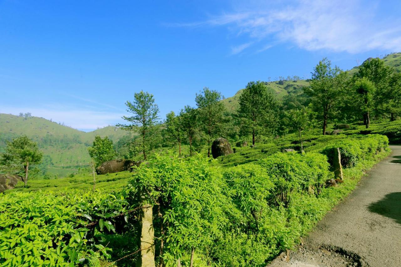 Green Magic Home Munnar Exteriér fotografie