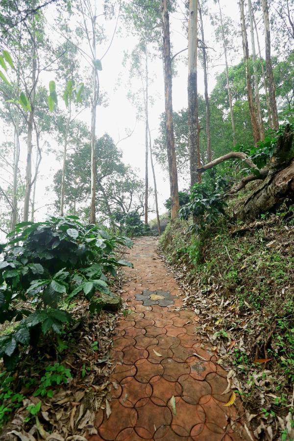 Green Magic Home Munnar Exteriér fotografie