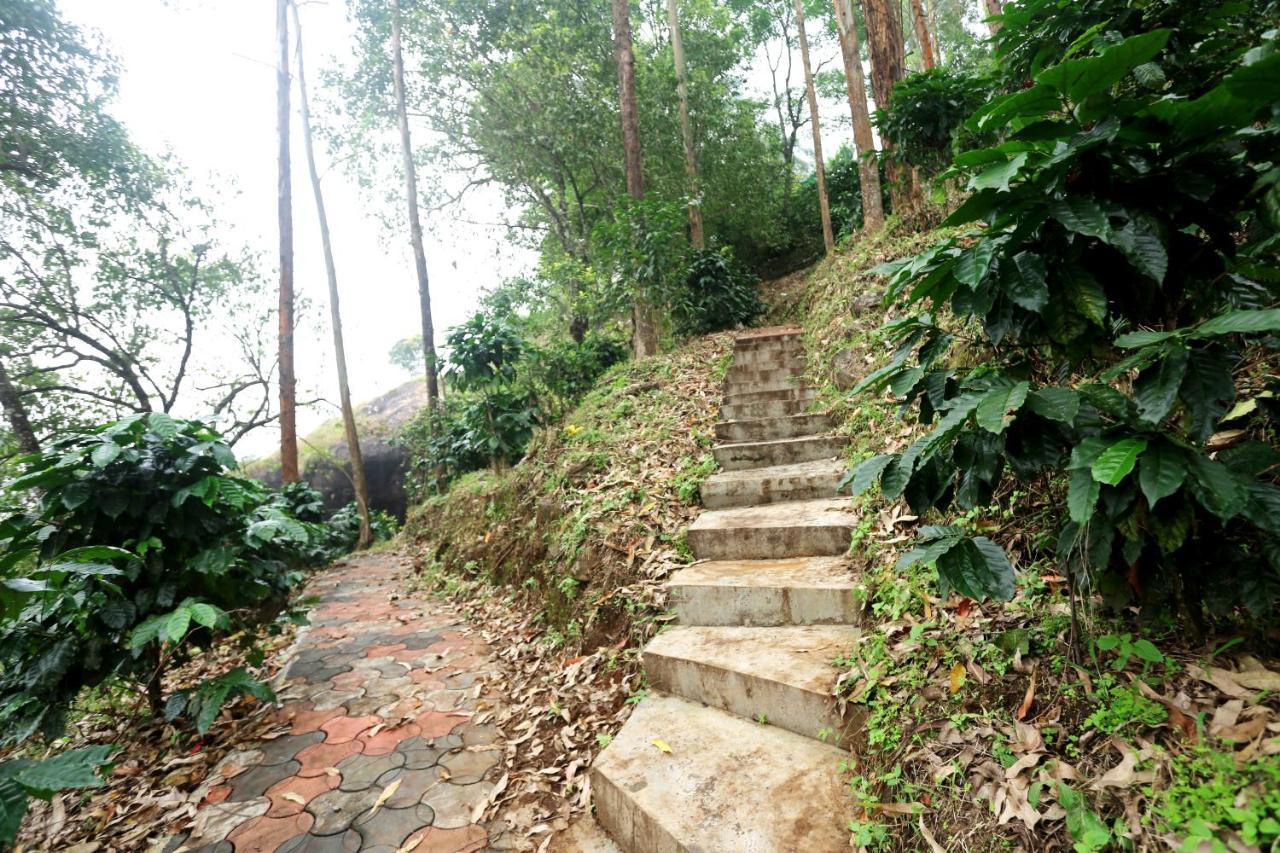 Green Magic Home Munnar Exteriér fotografie