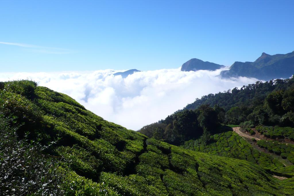 Green Magic Home Munnar Exteriér fotografie