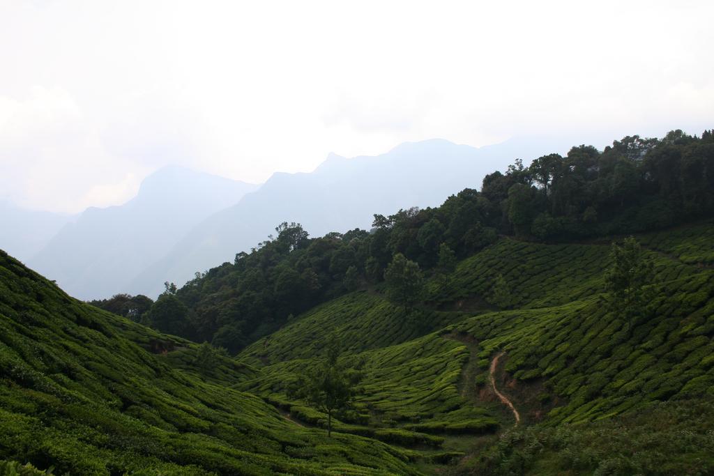 Green Magic Home Munnar Exteriér fotografie